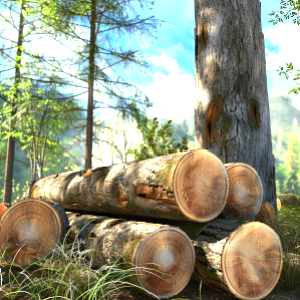 Raw Materials (Non Food)